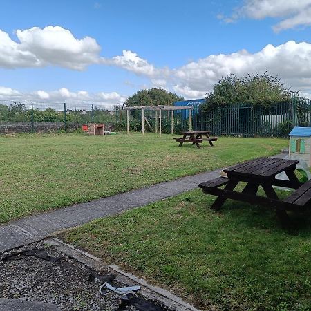 Hostel Y Doc At World Horizons Community Hub Llanelli Exterior foto